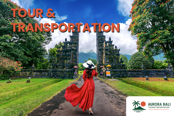 Tour & Transportation